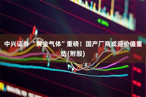 中兴证券 “黄金气体”重磅！国产厂商或迎价值重估(附股)