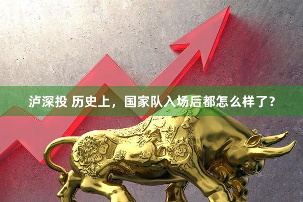 泸深投 历史上，国家队入场后都怎么样了？